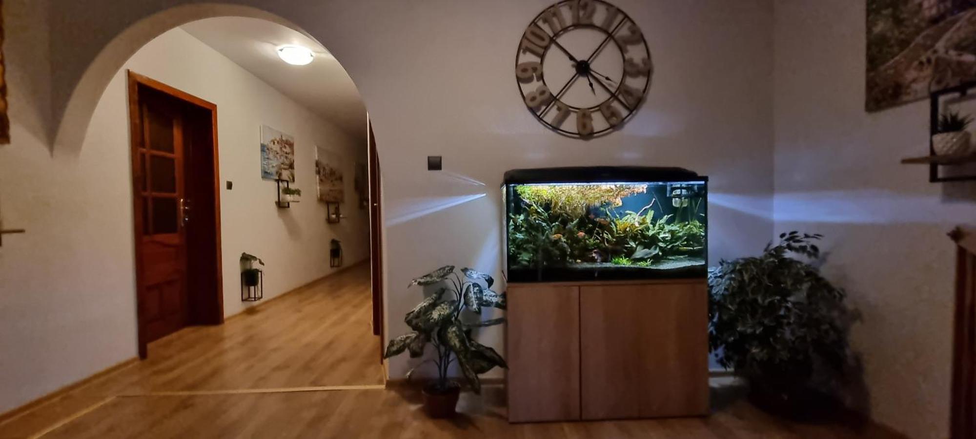 Noclegi Na Lacznej Świebodzice Dış mekan fotoğraf